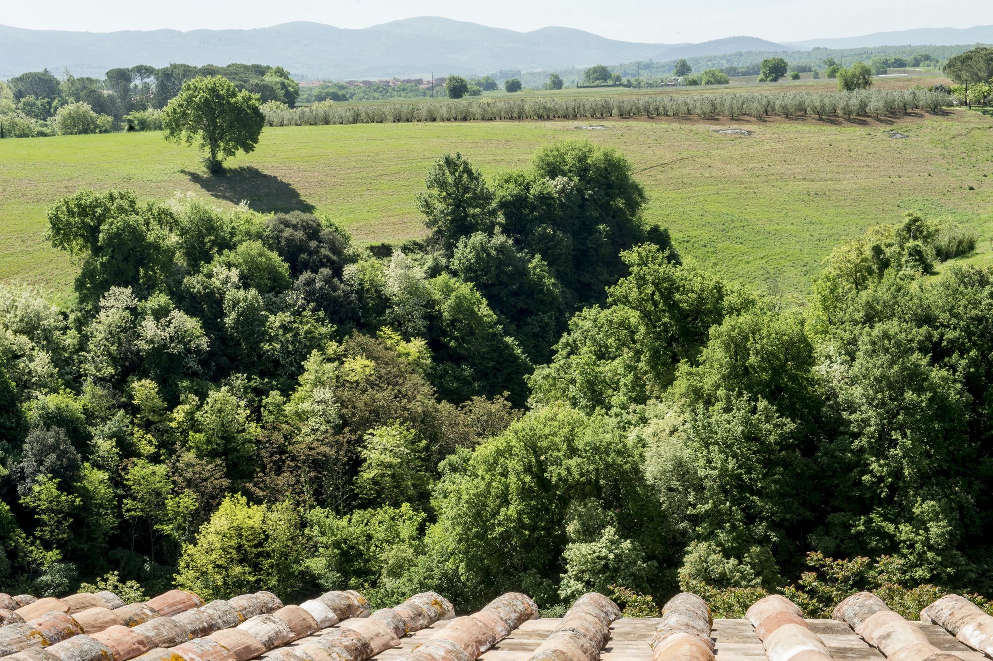 Palazzo Pacini Hotel Colle di Val d'Elsa Eksteriør billede